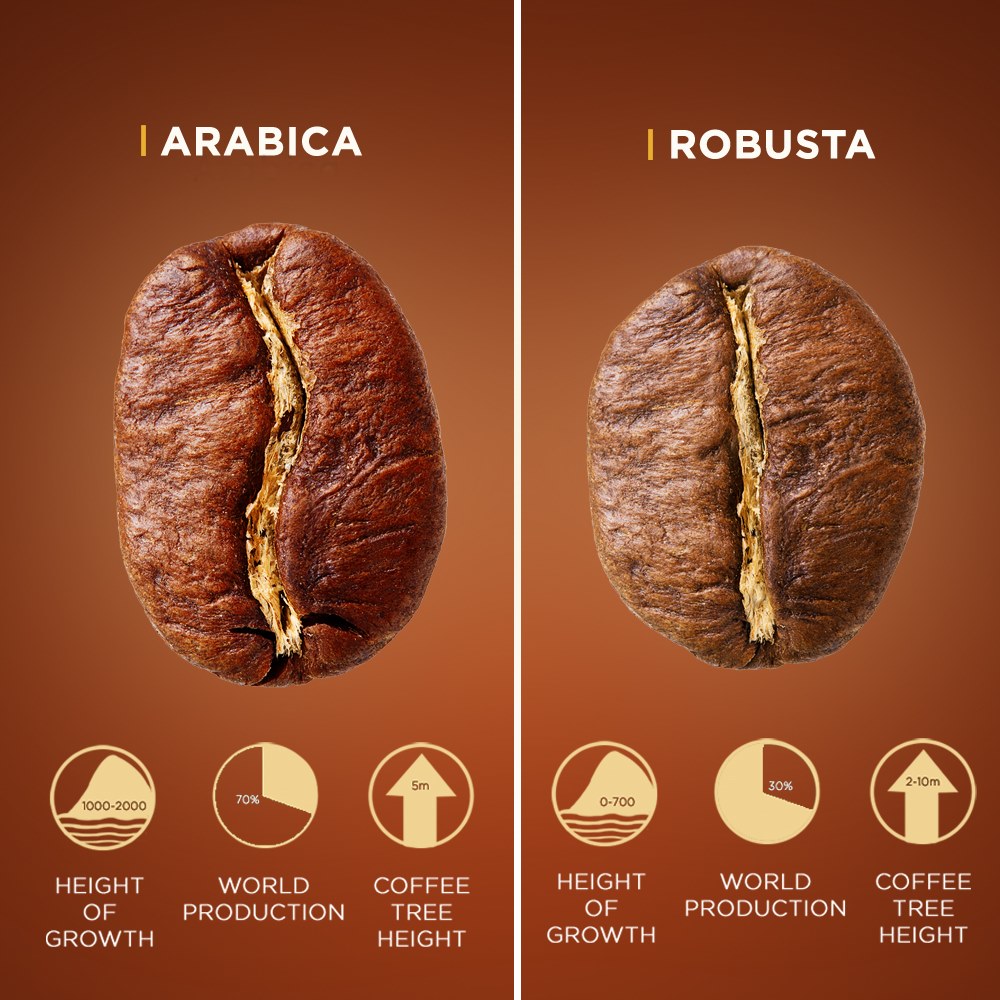 Der Unterschied zwischen Arabica- und Robusta-Kaffeebohnen